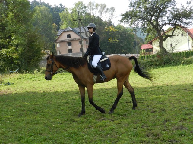 Babie Lato 2016